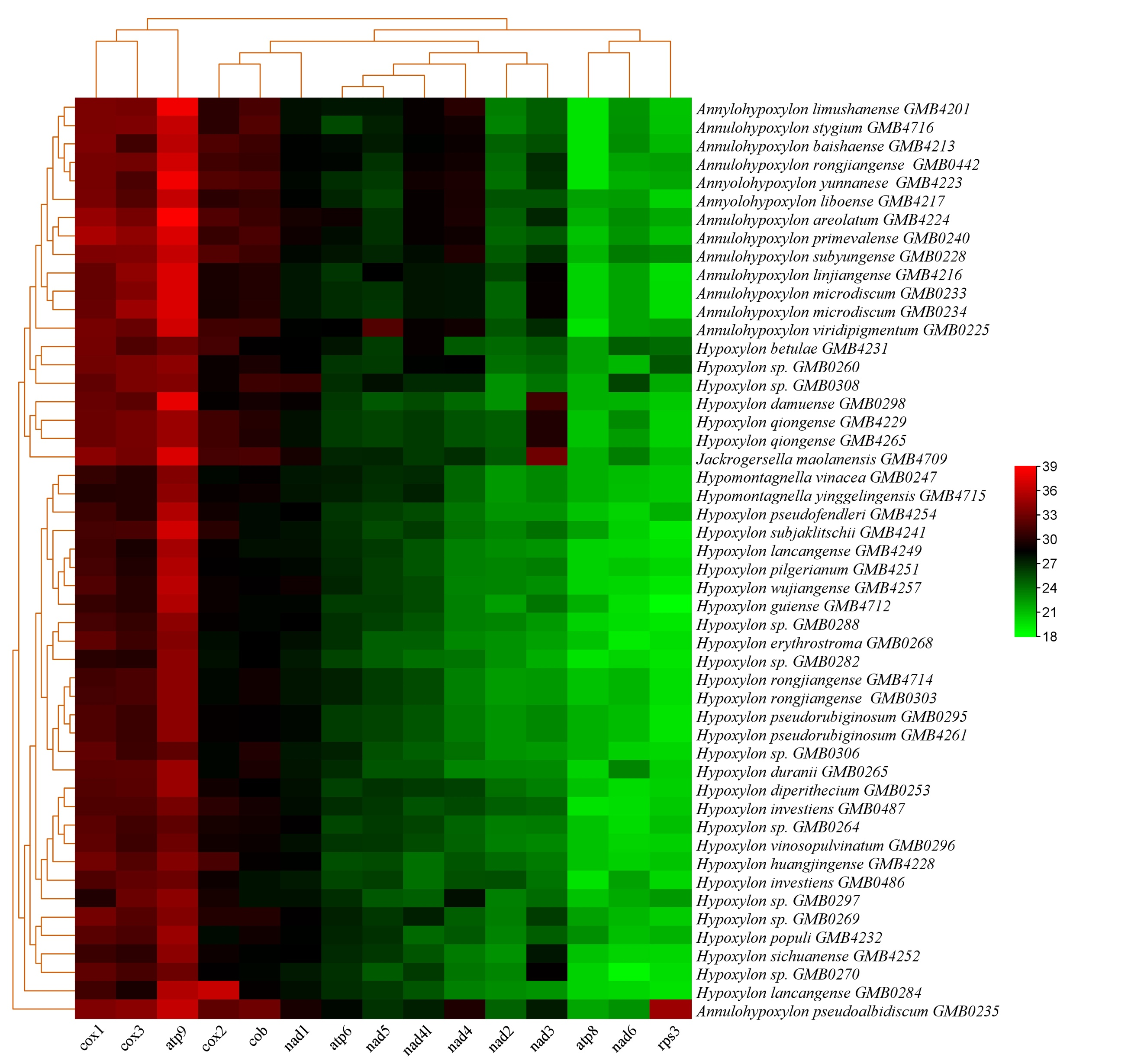 Figure 22